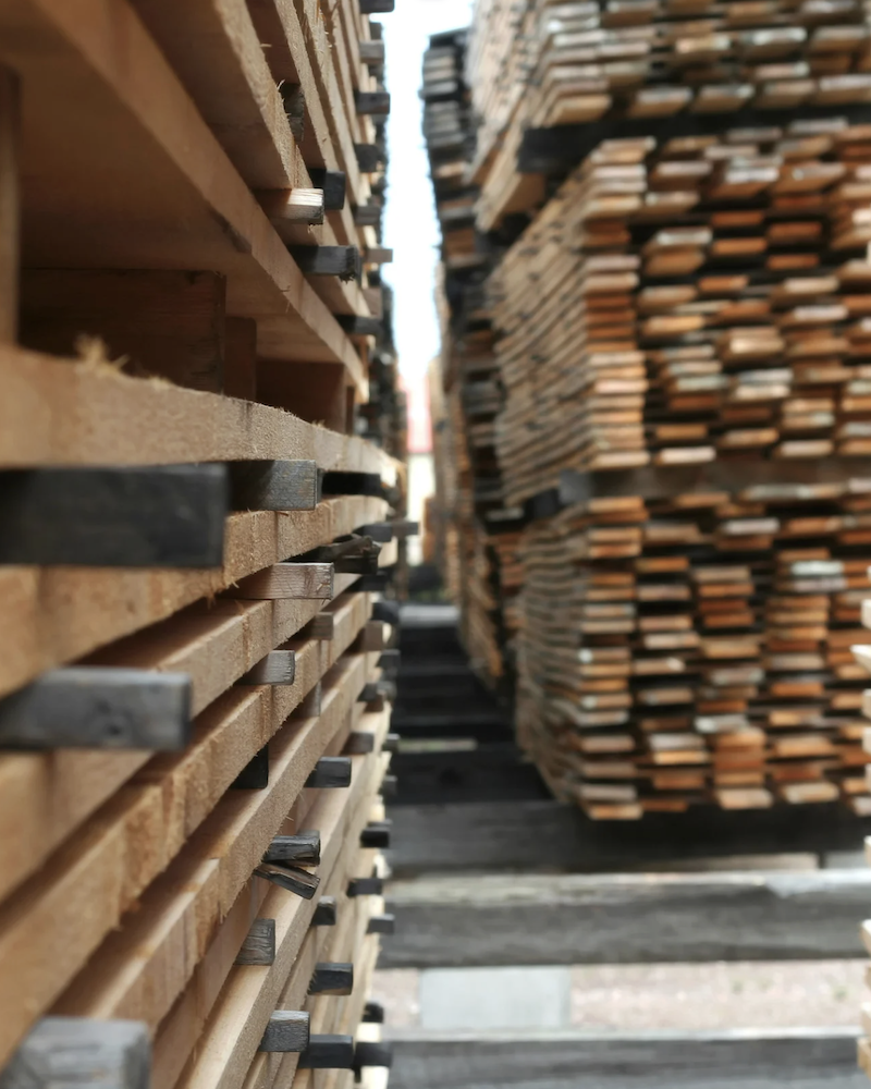 Cherestrea selectionata