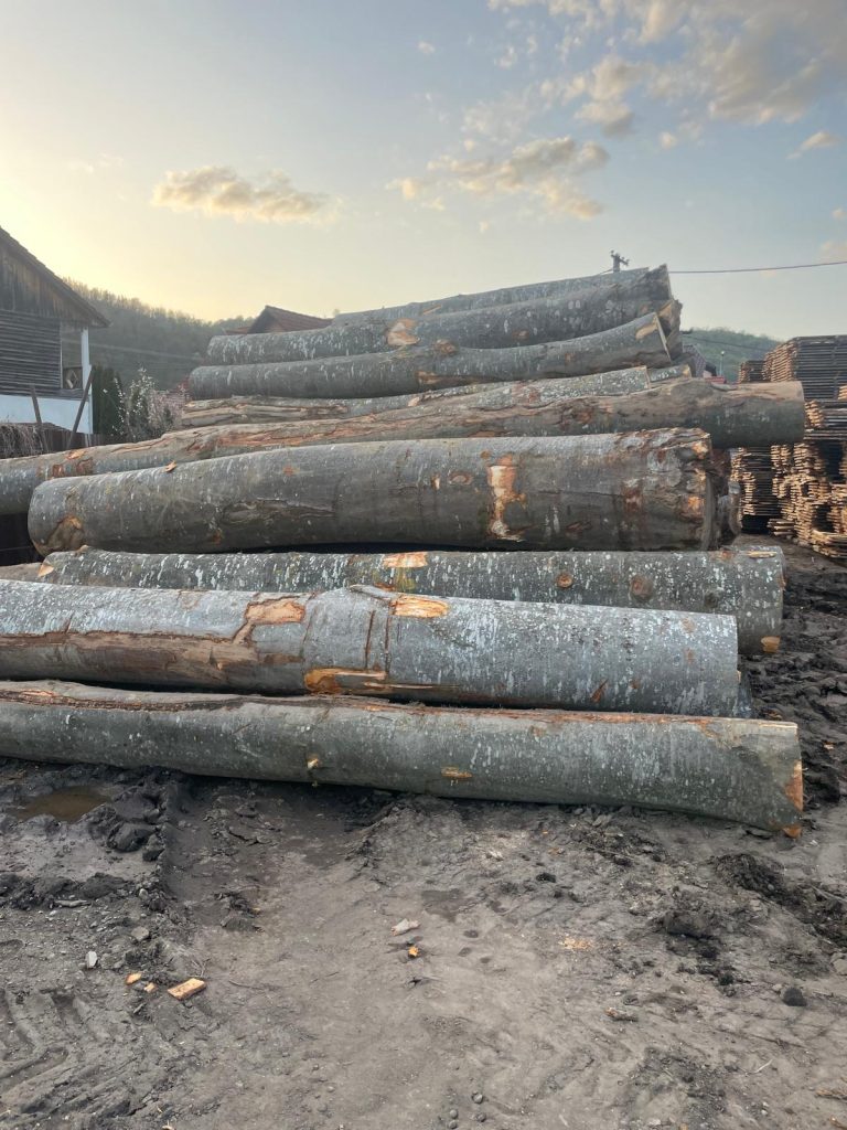 Bustean gater selectionat