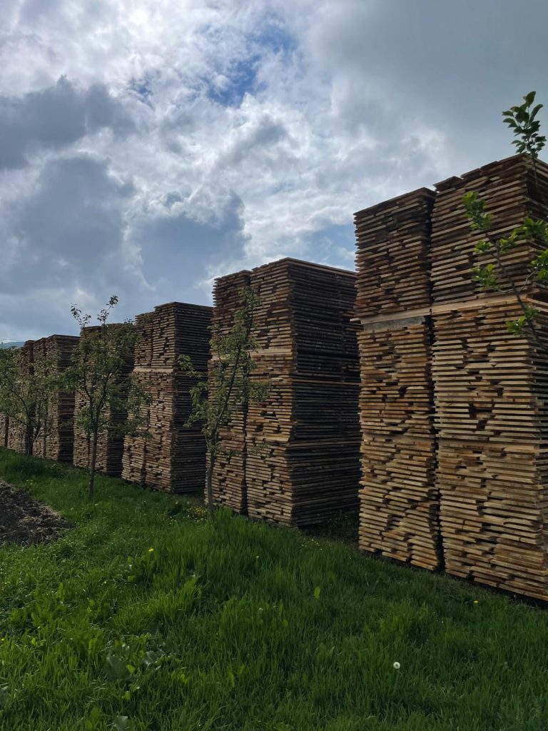 Cherestrea netivita fag cu certificare