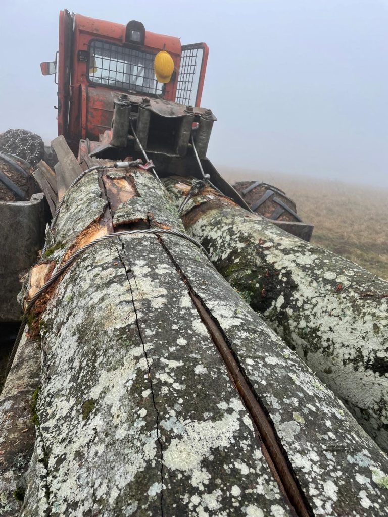 Exploatare forestiera cu tractor forestier