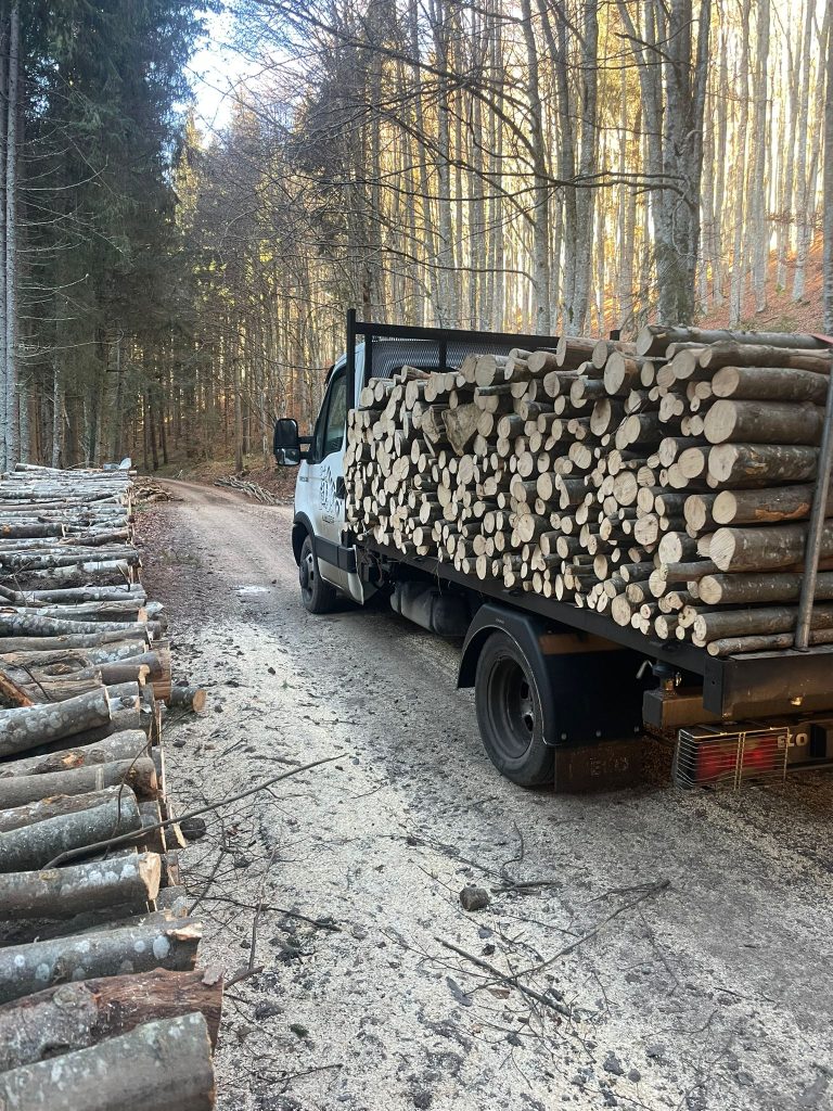 Lemn de foc rariturui