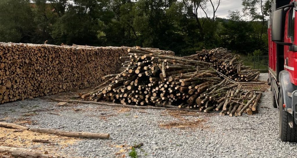 Lemn de foc rarituri