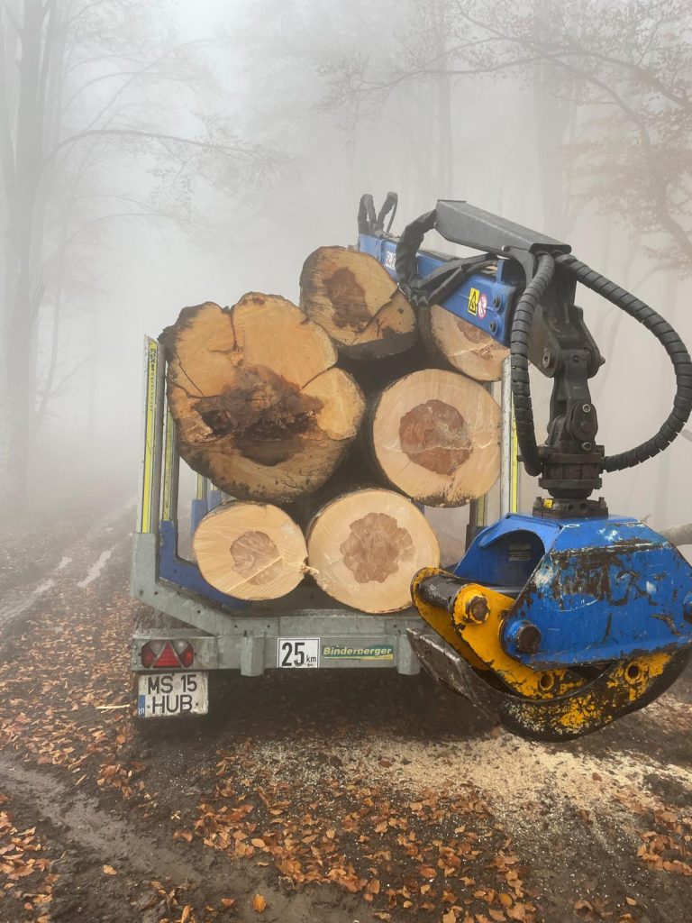 Lemn rotund. lemn de foc