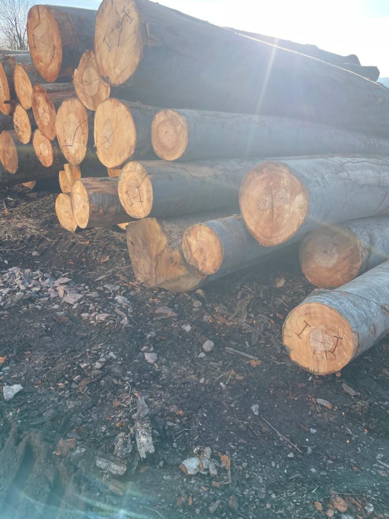 Lemn rotund bustean gater din depozit