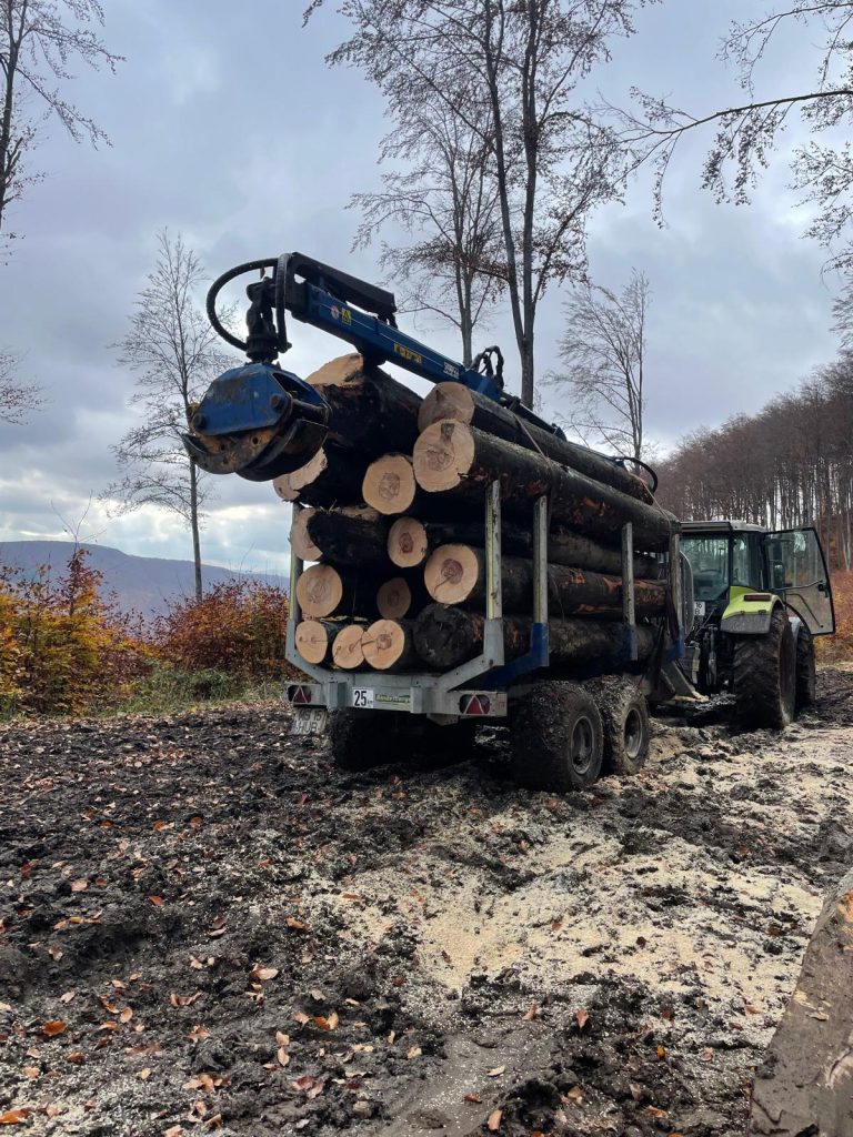 Lemn rotund direct de la locul recoltarii