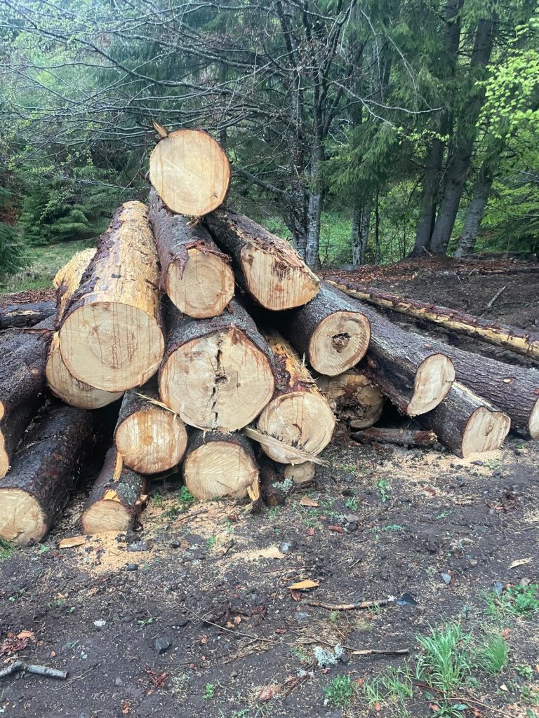 Lemn rotund pe rampa