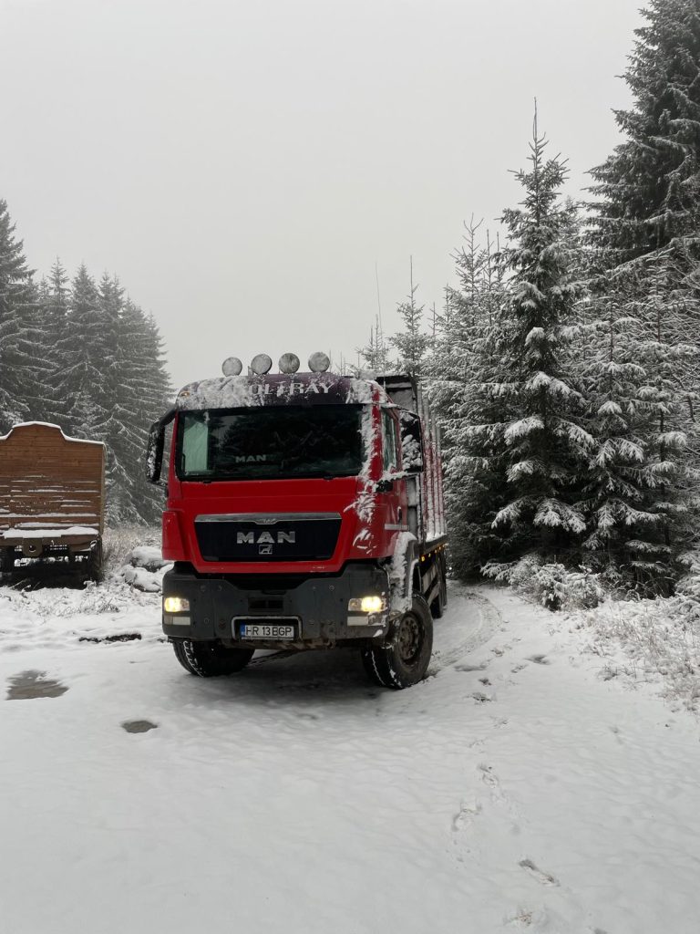 Pregatire pentru transport bustean